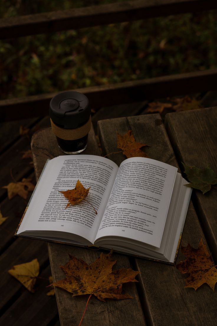 رمان کلاسیک آناکارنینا